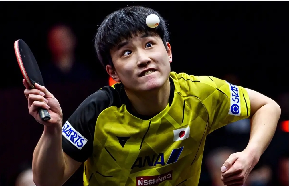 开云体育中国官网-波兰乒乓球队横扫德国乒乓球队,张本智和送出助攻