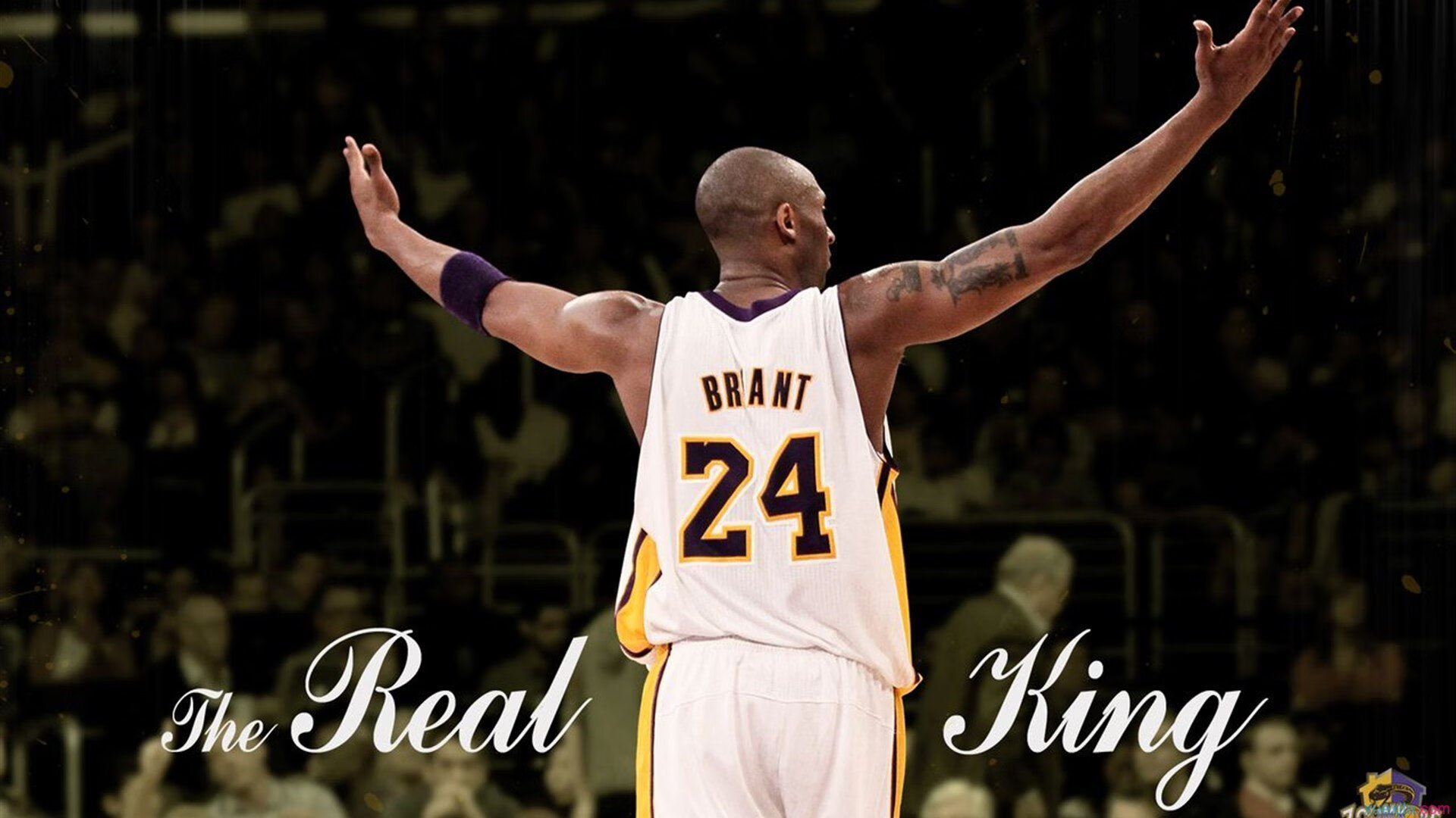 开云平台-布伦森指挥若定，鹈鹕节奏风暴席卷北京队